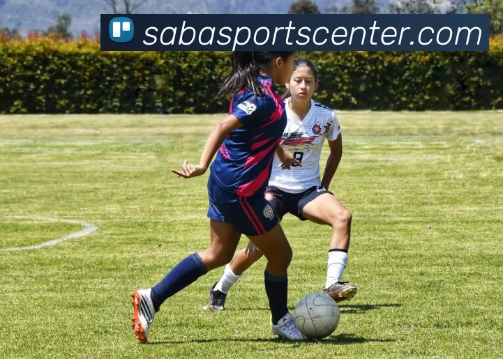 沙巴体育服务体系